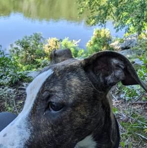 Meet your Posher, Susan